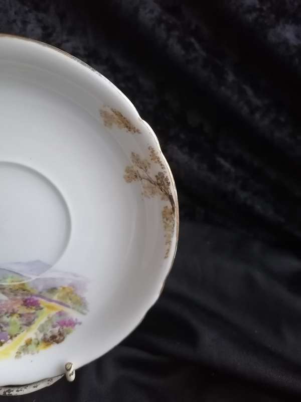 Vintage Shelley Heather Saucer - Series 0187.