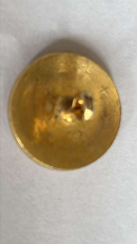 Something a Little Different...Original Springbok Blazer Buttons, details below