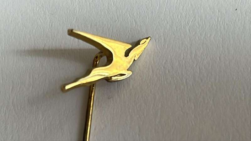 Rugby Pins x8, details below