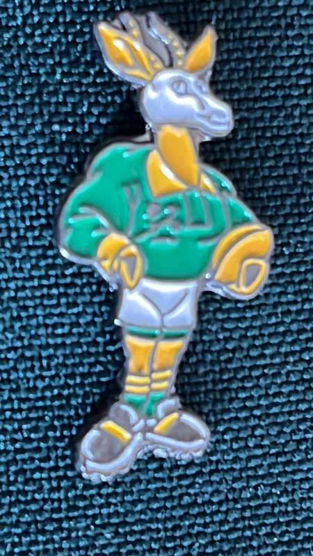 Rugby World Cup 2011 SA vs Fiji Pennant & Pin, details below