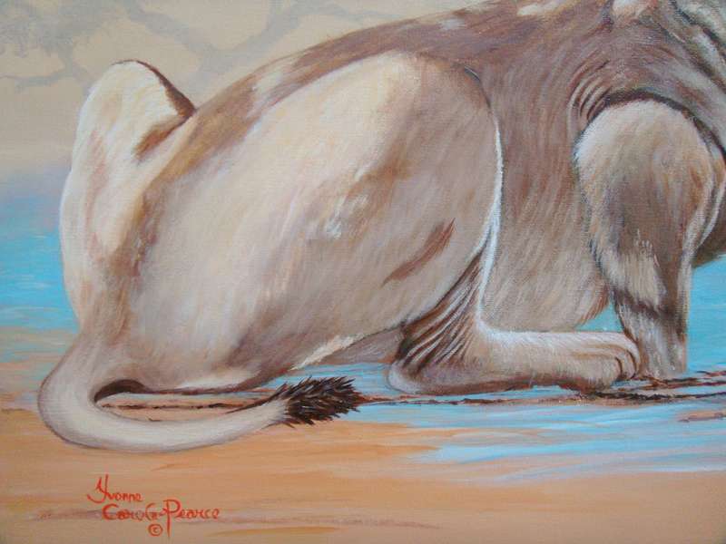`LIONESS`  -  BEAUTIFULY FRAMED OIL - ORIGINAL !!  by  Yvonne Carola-Pearce - Size 780mm x 630mm
