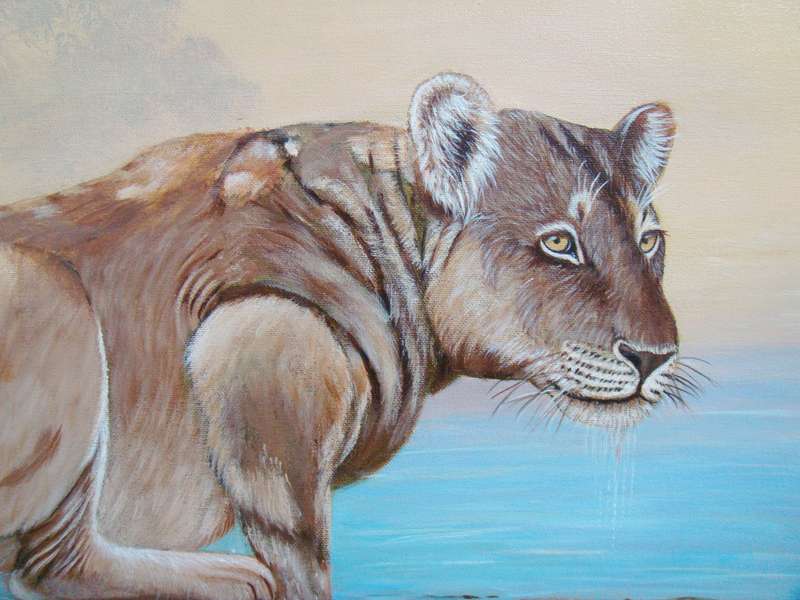 `LIONESS`  -  BEAUTIFULY FRAMED OIL - ORIGINAL !!  by  Yvonne Carola-Pearce - Size 780mm x 630mm