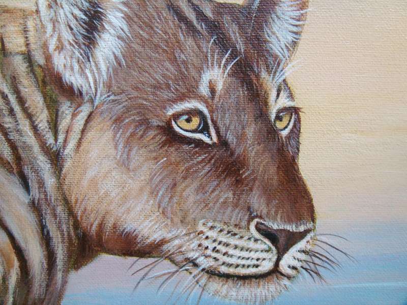 `LIONESS`  -  BEAUTIFULY FRAMED OIL - ORIGINAL !!  by  Yvonne Carola-Pearce - Size 780mm x 630mm