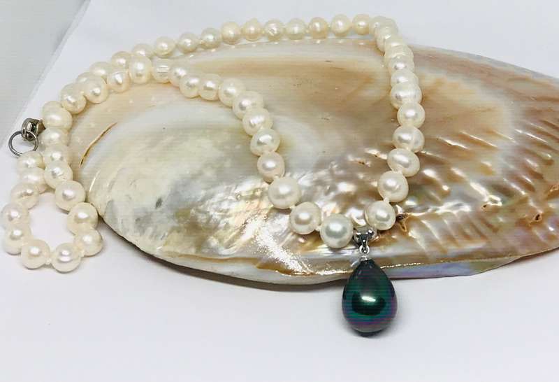 Genuine Pearl Necklace with Black/Peacock Shell Pearl Pendant
