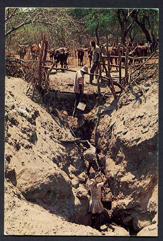 Botswana - Post Card
