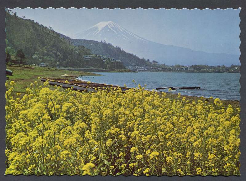 Post Card