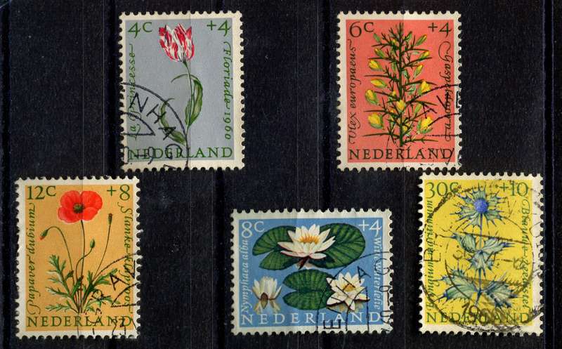 Netherlands - 1960 - Used
