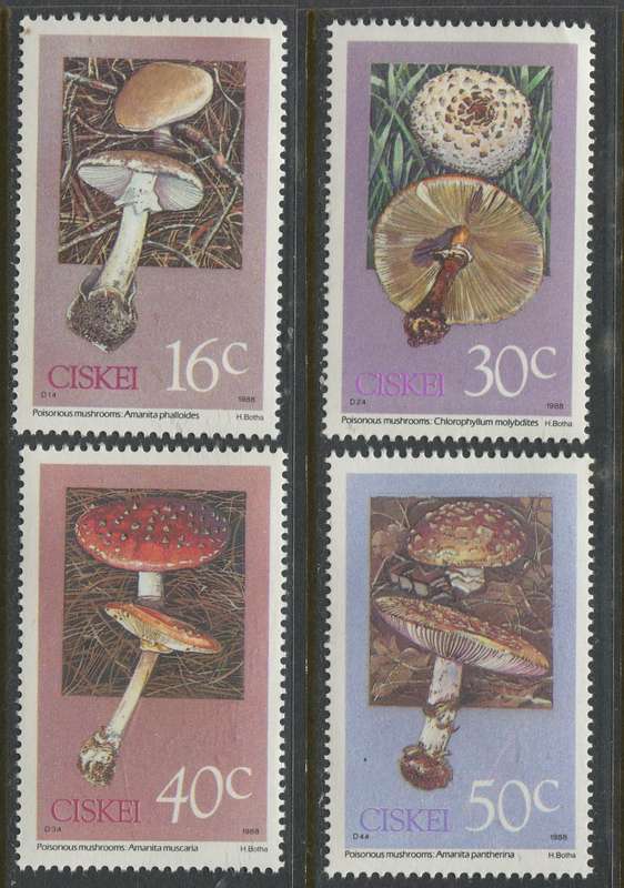 Ciskei - 1988 - MNH