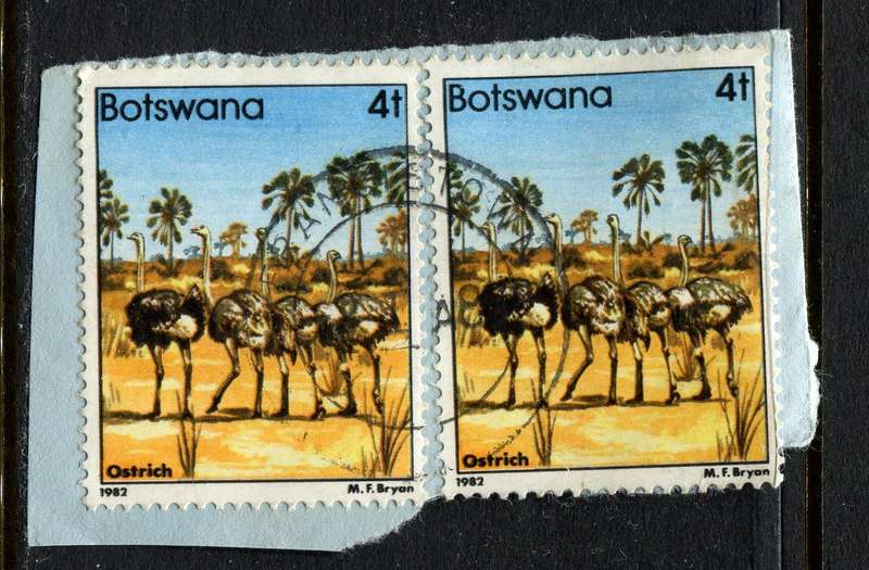 Botswana - Used On Piece