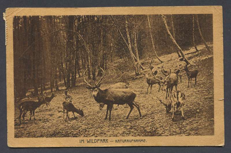 Germany - Post Card