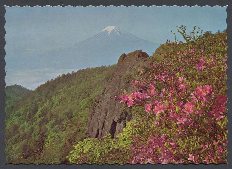 Post Card