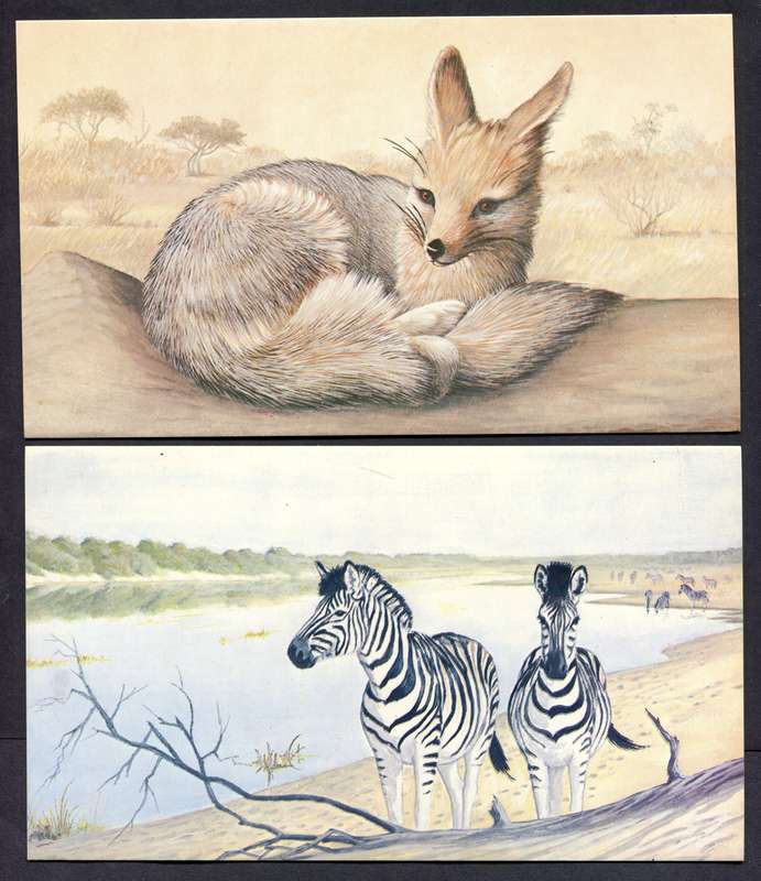 Botswana - 18 Unused Post Cards - Part Set 18 Of 20 - No Stamps