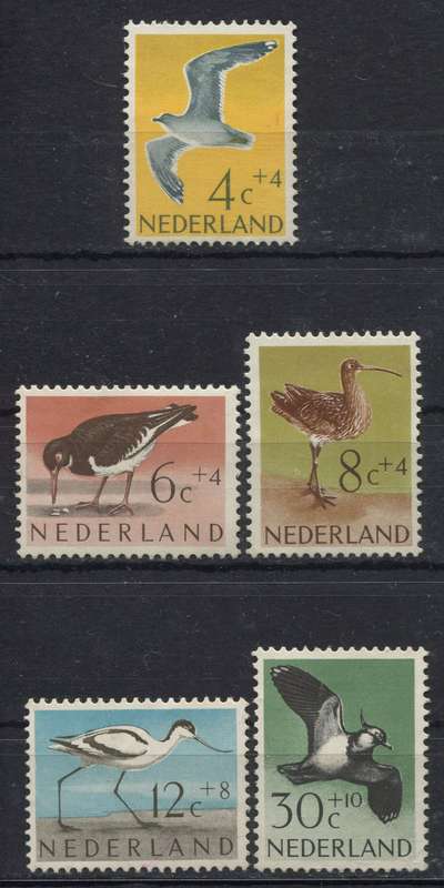 Netherlands - Birds - 1961 - MM
