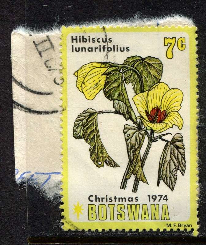 Botswana - Used On Piece