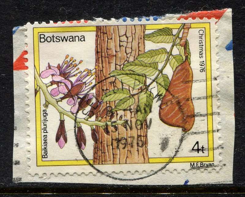 Botswana - Used On Piece
