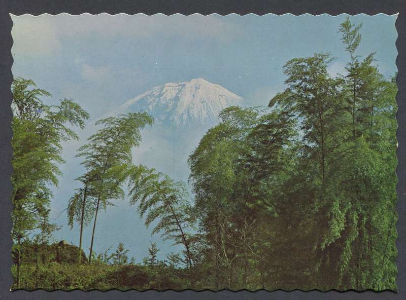 Post Card
