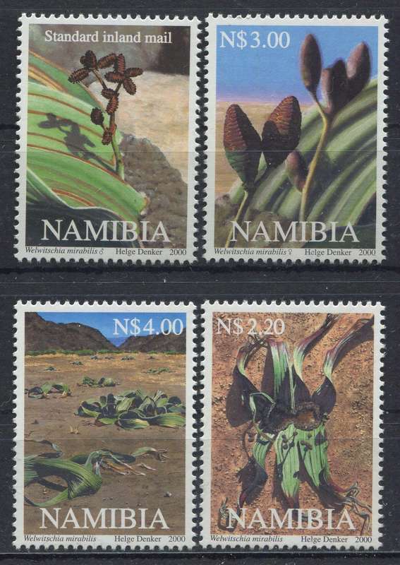 Namibia - 2000 - MNH