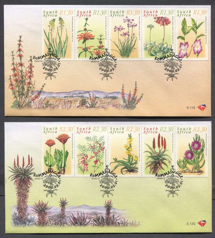 RSA - FDC - No 6.119 and 6.120 - 2000