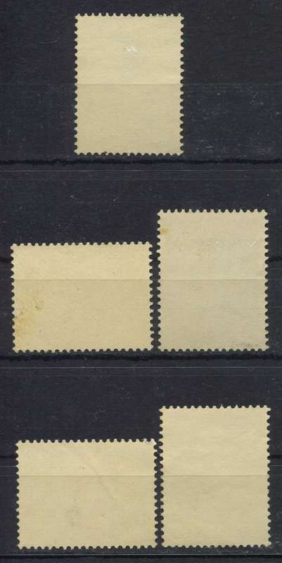 Netherlands - Birds - 1961 - MM