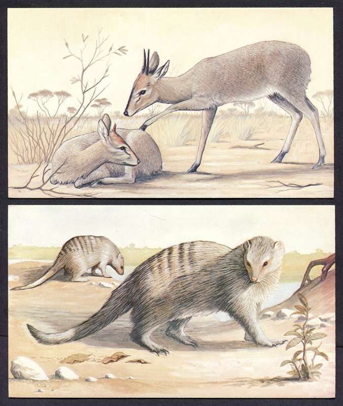 Botswana - 18 Unused Post Cards - Part Set 18 Of 20 - No Stamps