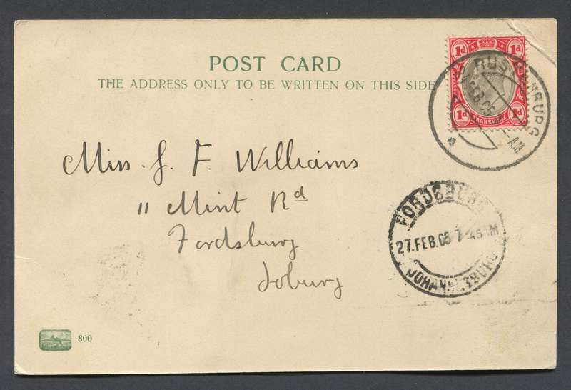 Transvaal - Post Card