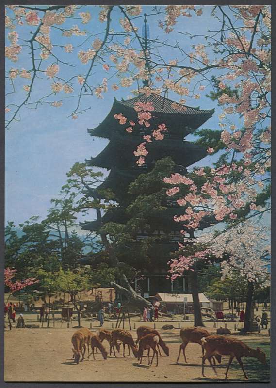 Post Card
