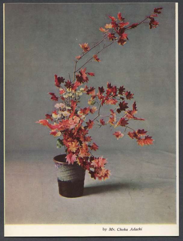 Post Card