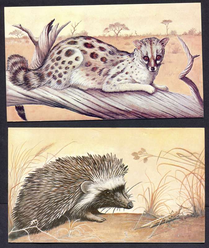 Botswana - 18 Unused Post Cards - Part Set 18 Of 20 - No Stamps