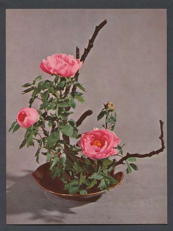 Post Card