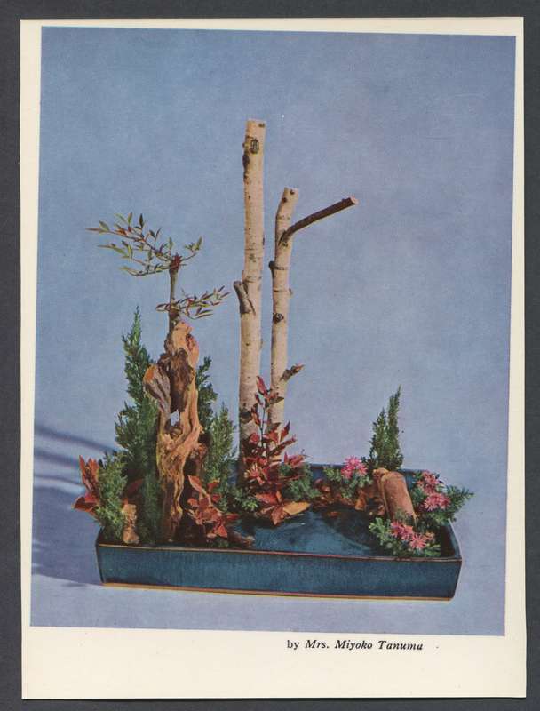Post Card
