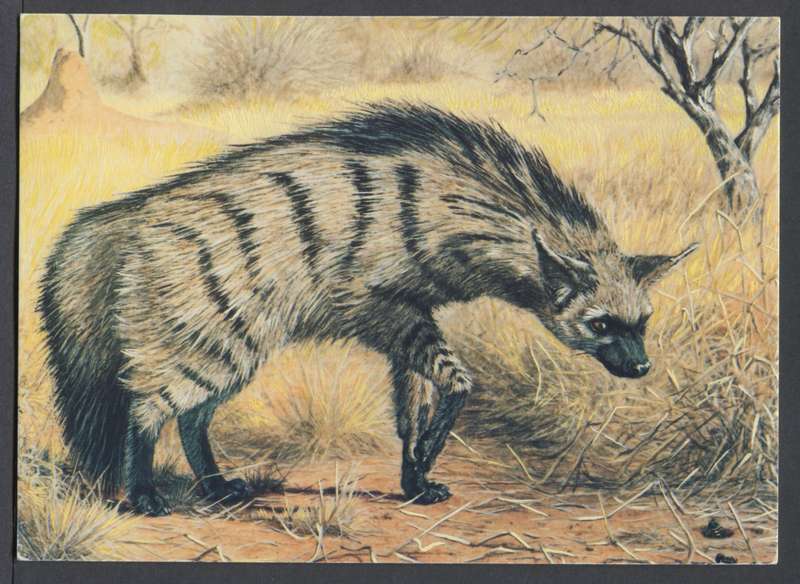 Botswana - Post Card