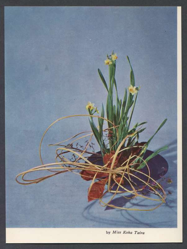 Post Card