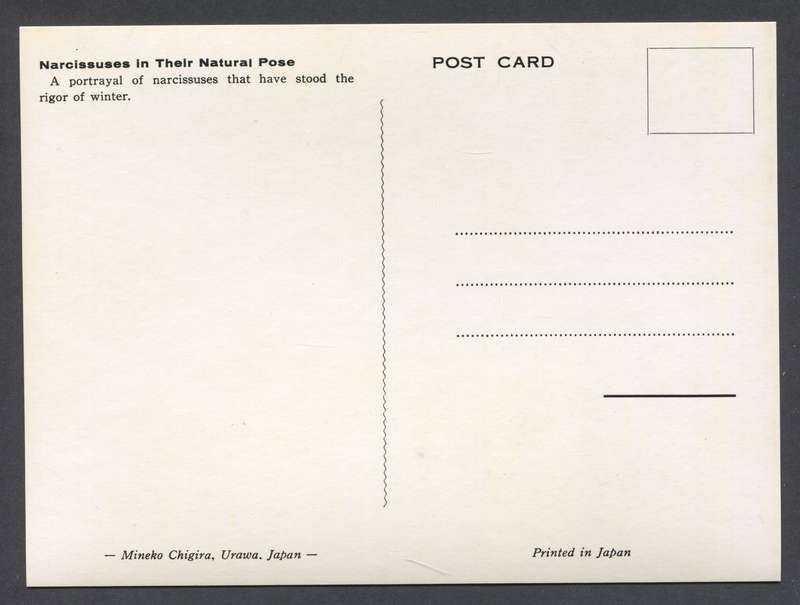 Post Card