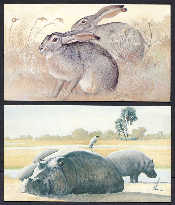 Botswana - 18 Unused Post Cards - Part Set 18 Of 20 - No Stamps