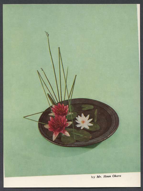 Post Card
