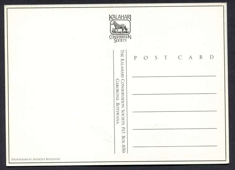 Botswana - Post Card