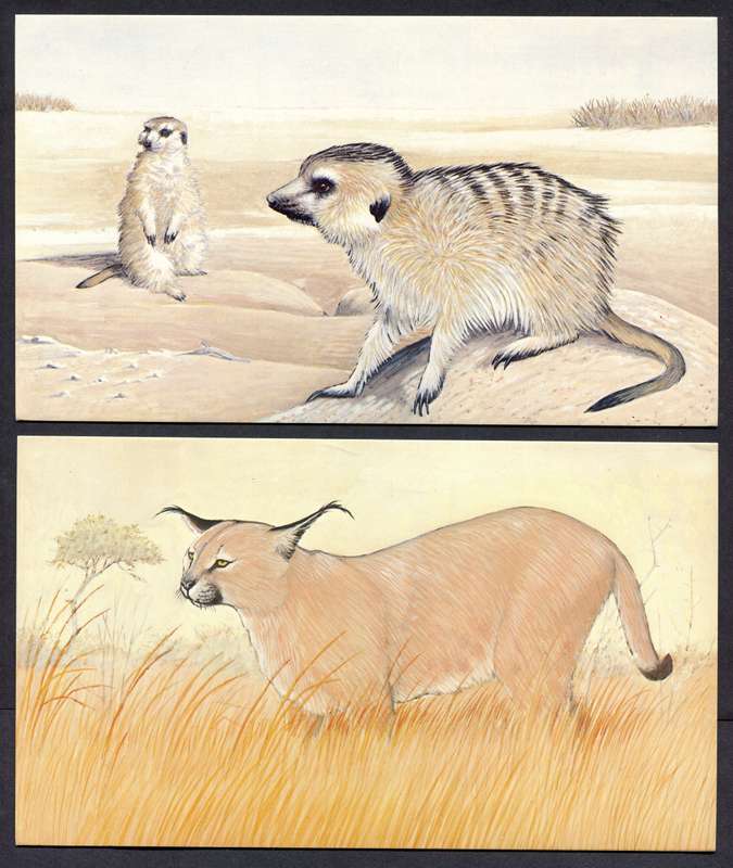 Botswana - 18 Unused Post Cards - Part Set 18 Of 20 - No Stamps