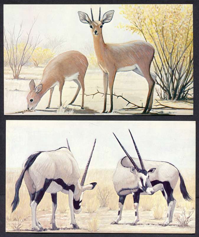 Botswana - 18 Unused Post Cards - Part Set 18 Of 20 - No Stamps