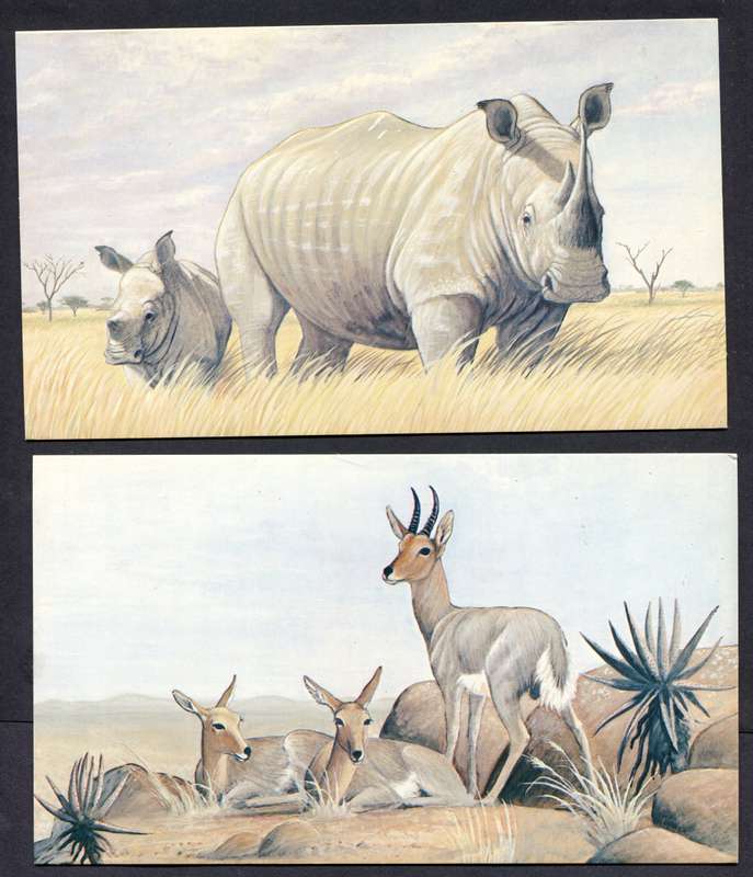 Botswana - 18 Unused Post Cards - Part Set 18 Of 20 - No Stamps
