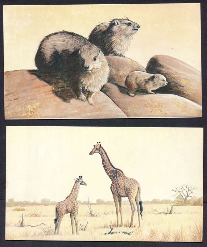 Botswana - 18 Unused Post Cards - Part Set 18 Of 20 - No Stamps