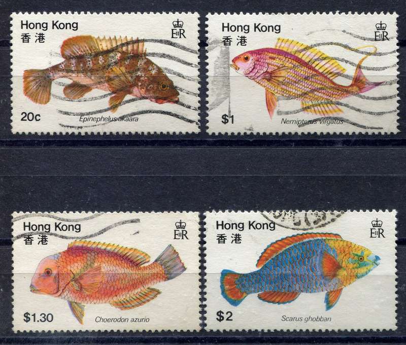 Hong Kong - 1981 - Used