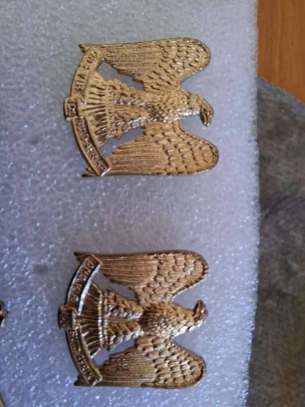 862 Regiment Louw Wepener collar badge set
