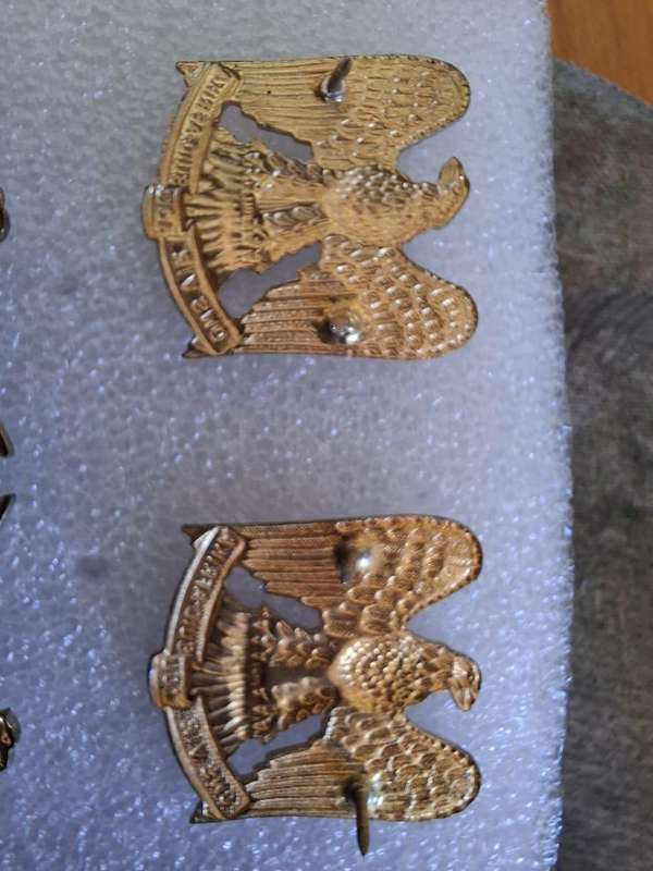 862 Regiment Louw Wepener collar badge set