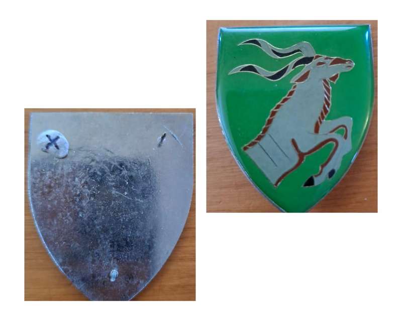 Queenstown Commando Shoulder Flash