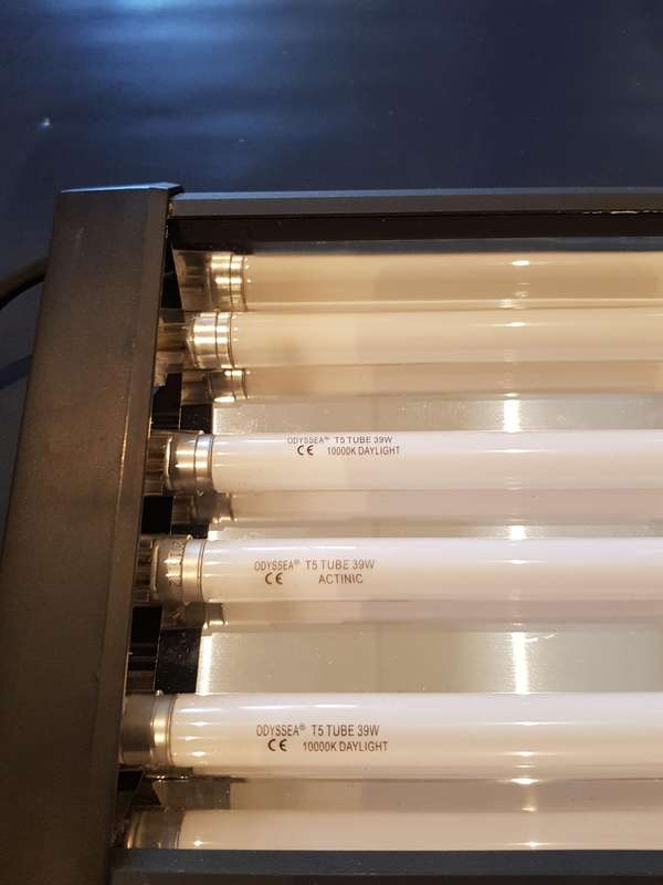 Odyssea Aquarium Light T5 39W Quad (90-100cm)