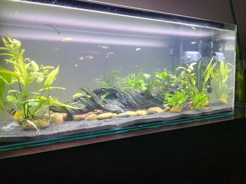 Odyssea Aquarium Light T5 39W Quad (90-100cm)