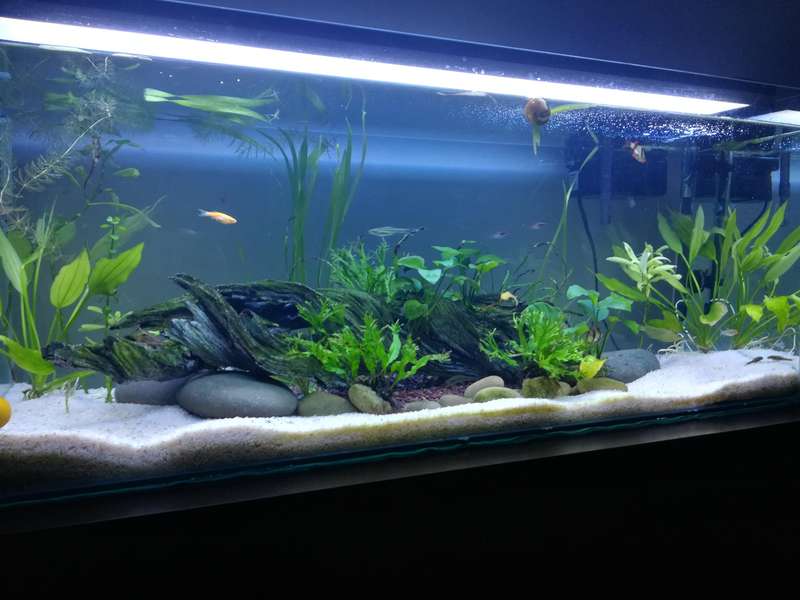 Odyssea Aquarium Light T5 39W Quad (90-100cm)