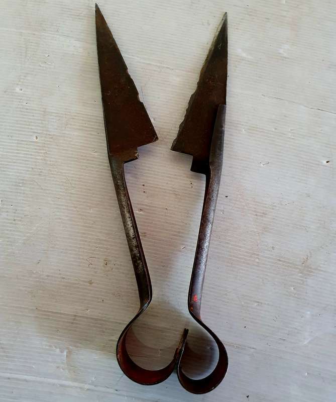 ANTIQUE  SHEFFIELD BURGON & BALL SHEEP SHEARS. IDEAL FOR KNIFE MAKING !!