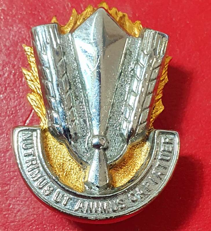 SADF CATERING CORPS BERET BADGE.