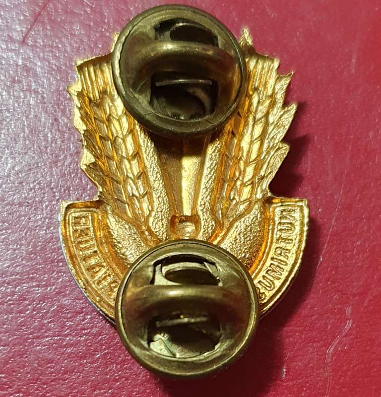 SADF CATERING CORPS BERET BADGE.